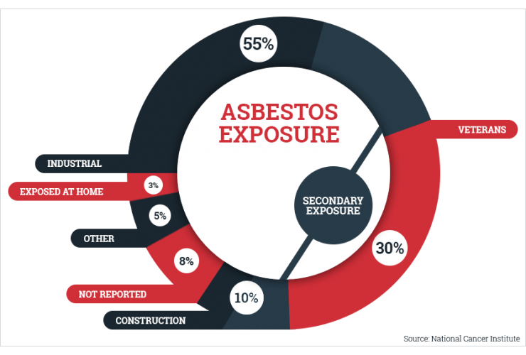 Asbestos Exposure And Environmental Alert- Facts And Case Studies procurement